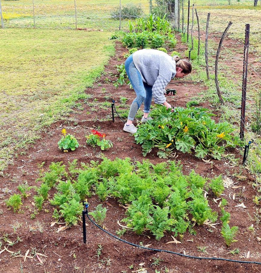 Little Farms Hotell Colesberg Eksteriør bilde
